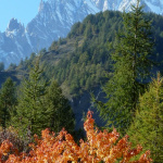 October in Chamonix – Simply Stunning!