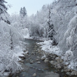 Merry Xmas from Chamonix!