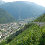 Vineyards? This doesn’t look like Chamonix.